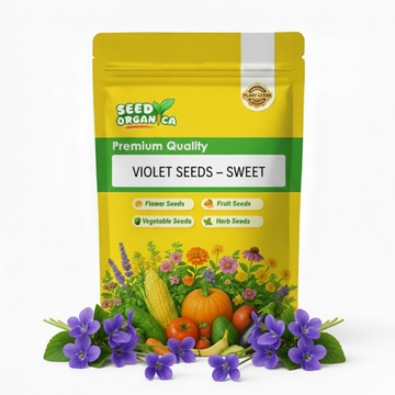 Violet Seeds – Sweet