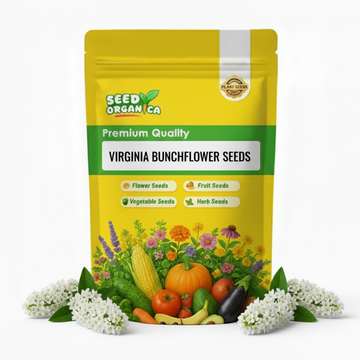 Virginia Bunchflower Seeds