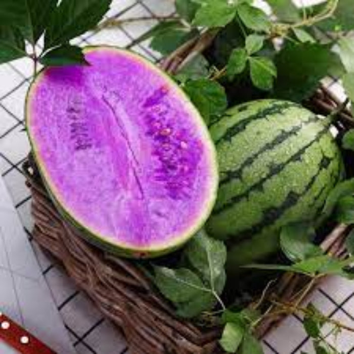 Watermelon Seeds – Rare Purple Flesh