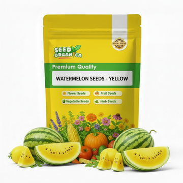 Watermelon Seeds - Yellow