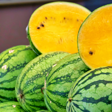 Watermelon Seeds - golden midget