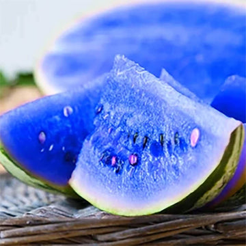 Watermelon Seeds – Blue
