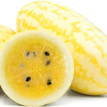 Watermelon Seeds – Gold in Gold