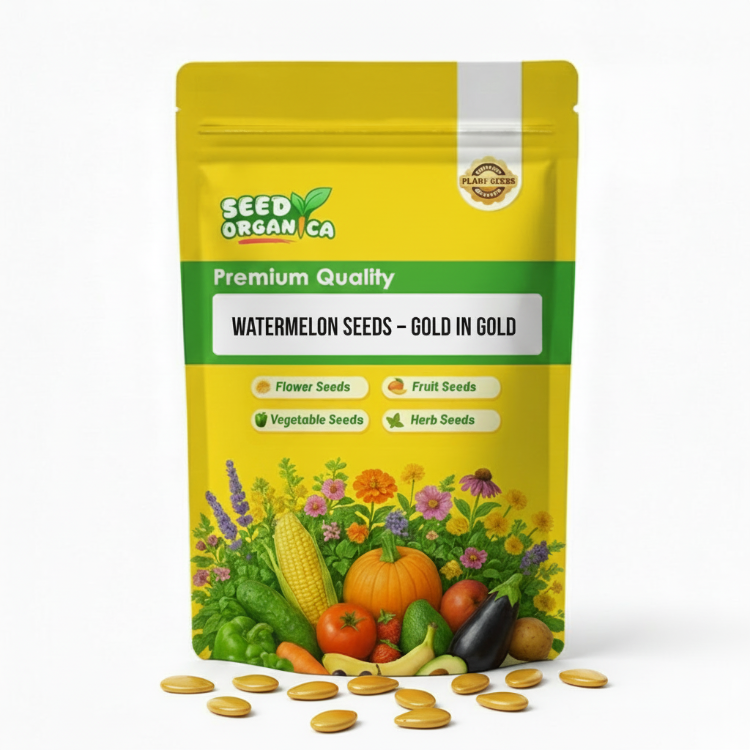 Watermelon Seeds – Gold in Gold