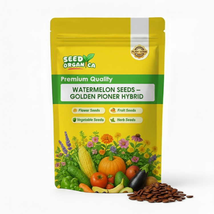 Watermelon Seeds – Golden Pioneer Hybrid