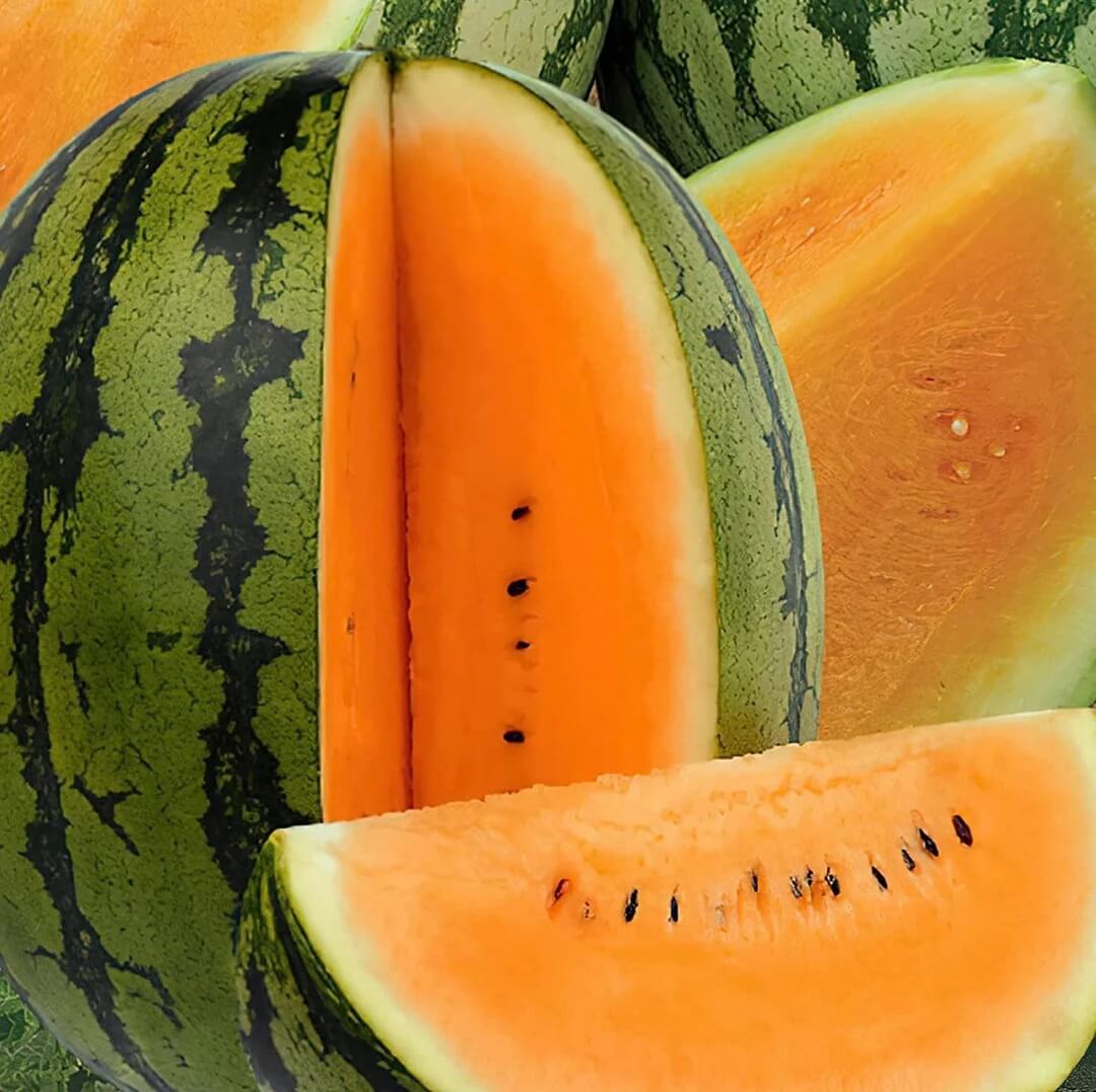 Watermelon Seeds – Orange