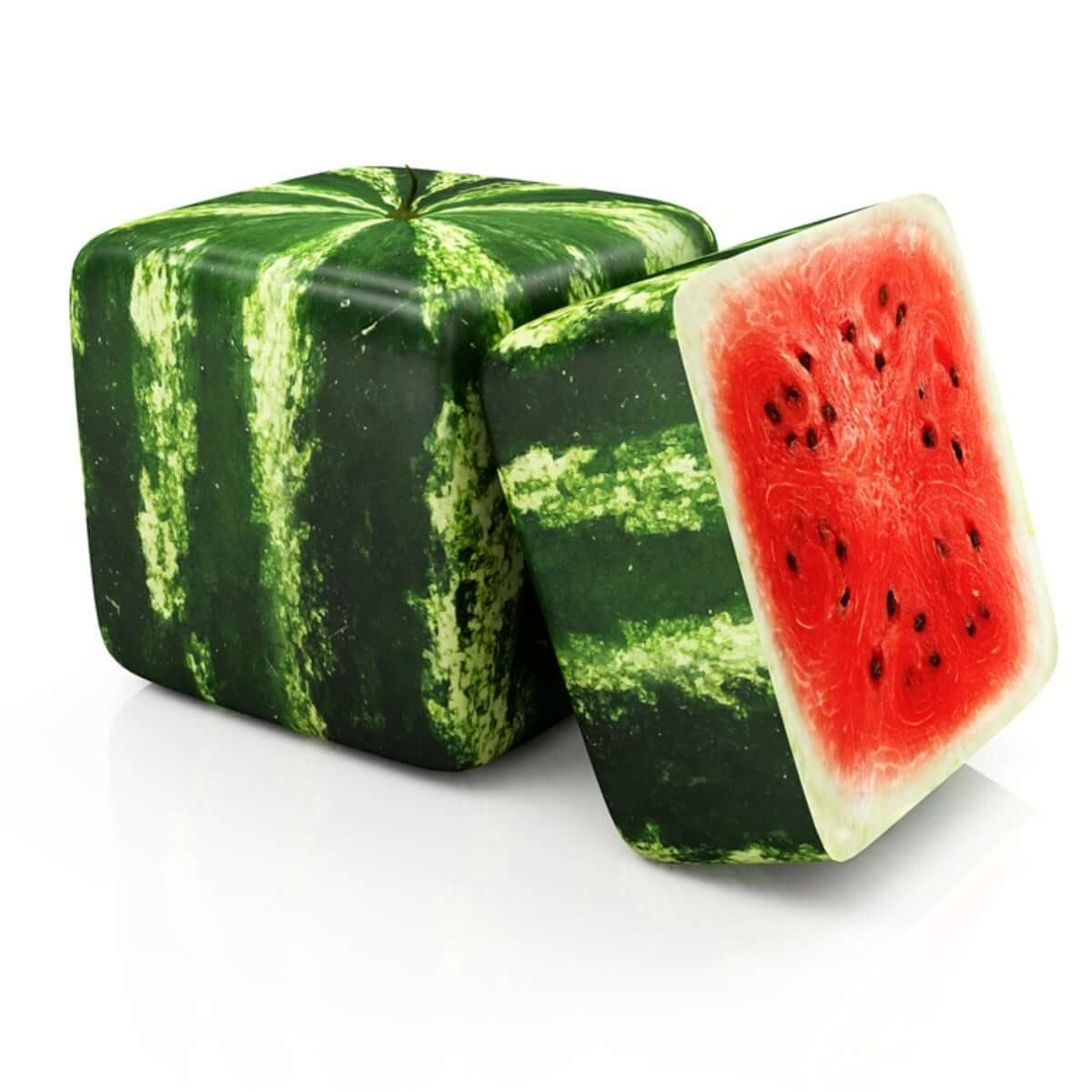 Watermelon Seeds – Square