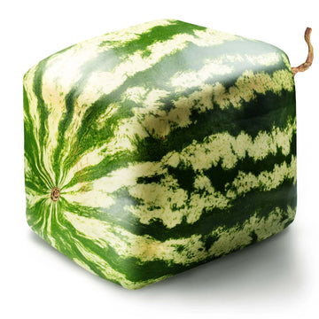 Watermelon Seeds – Square