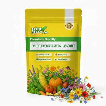 Wildflower Mix Seeds - Assorted