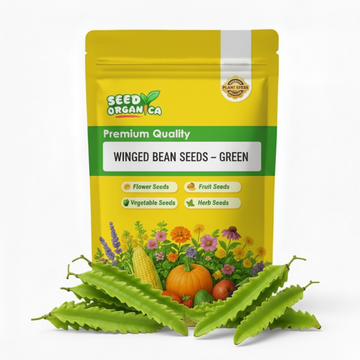 Winged Bean Seeds – Green