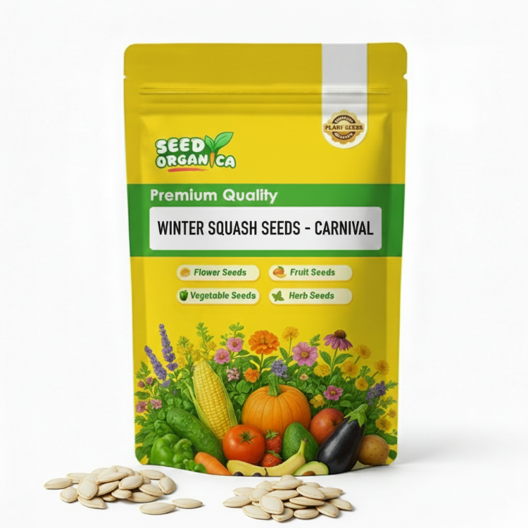 Winter Squash Seeds - Carnival