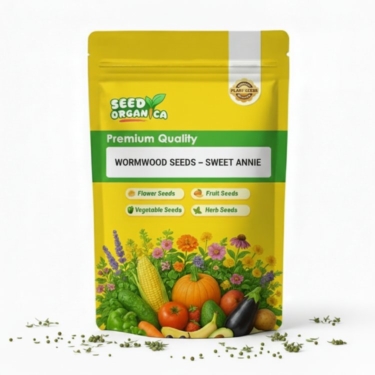Wormwood Seeds – Sweet Annie