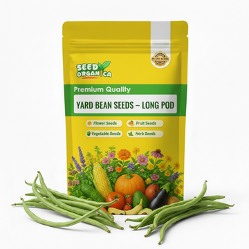 Yard Bean Seeds – Long Pod