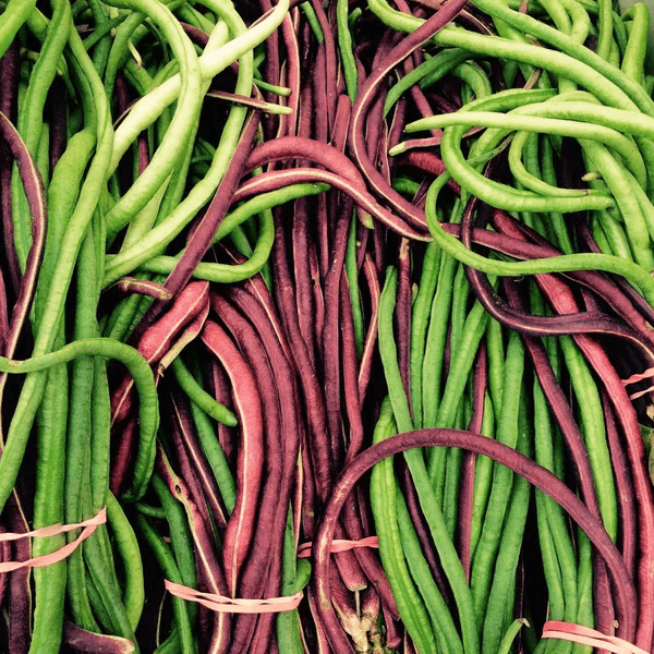 Yard Bean Seeds – Long Pod