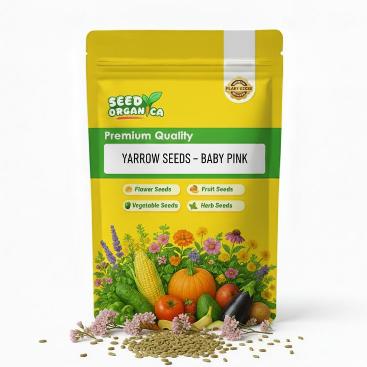 Yarrow Seeds – Baby Pink
