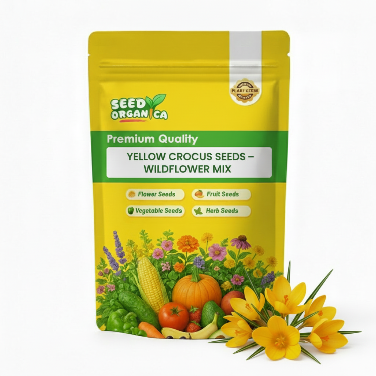 Yellow Crocus Seeds – Wildflower Mix