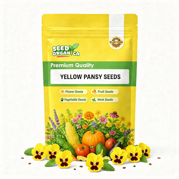 Yellow Pansy Seeds