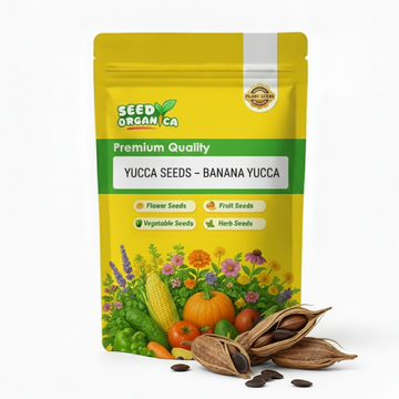 Yucca Seeds – Banana Yucca