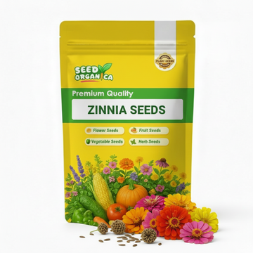 Zinnia Seeds