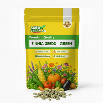 Zinnia Seeds - Green
