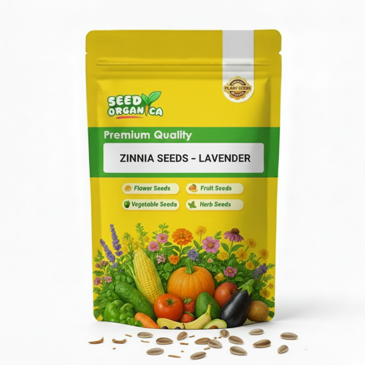 Zinnia Seeds – Lavender