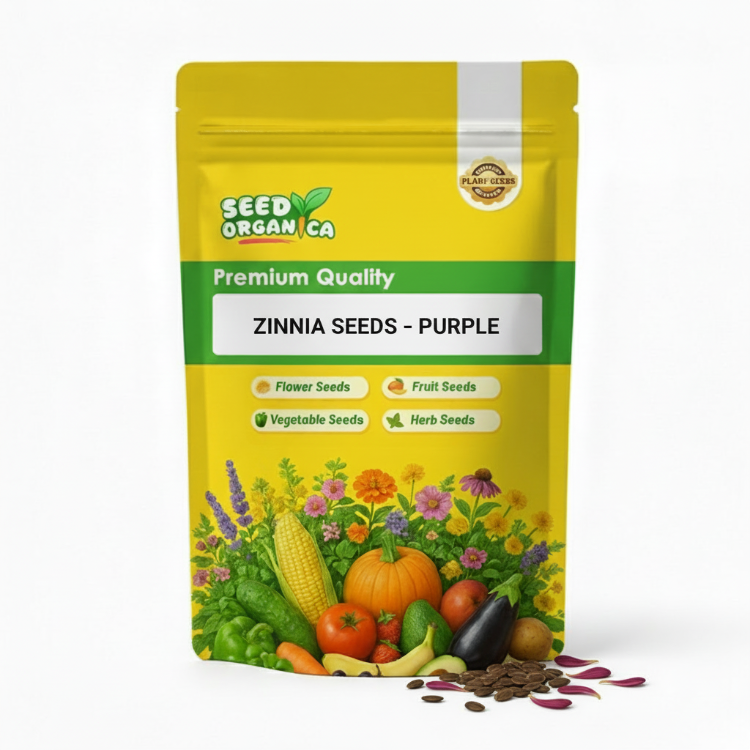 Zinnia Seeds – Purple