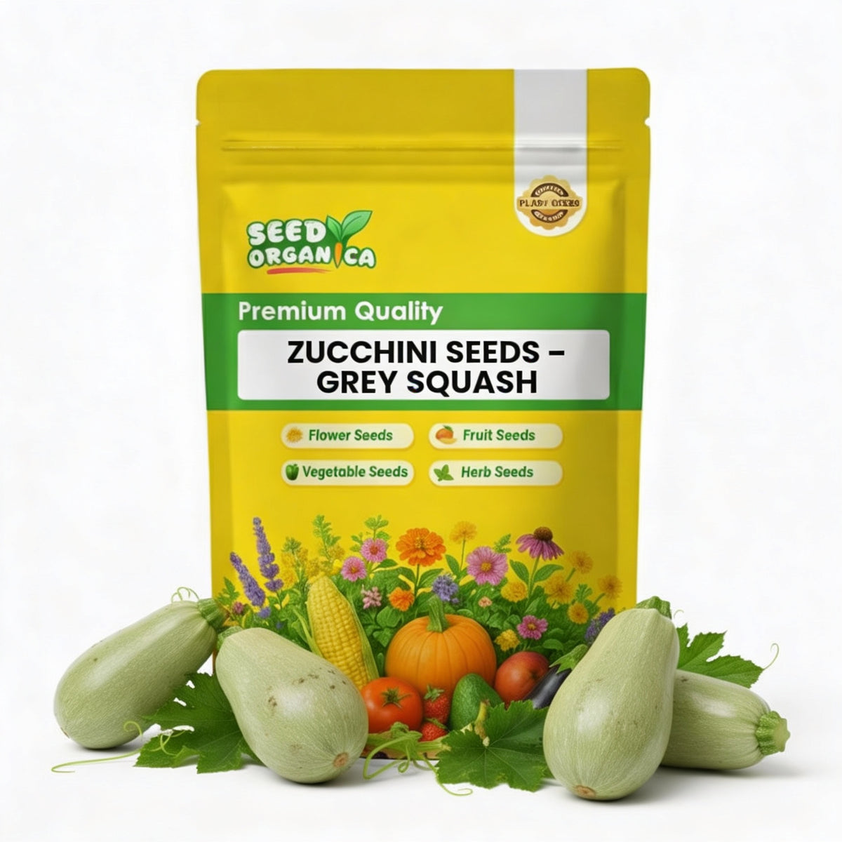 Zucchini Seeds – Grey Squash