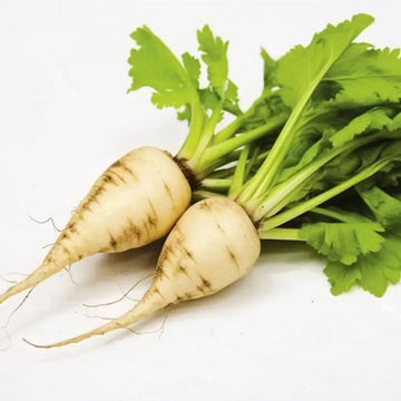 White Sugar Beet Seeds – Vegetable Plant