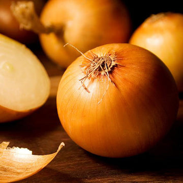 Sweet Yellow Onion Seeds – Vegetable Plant