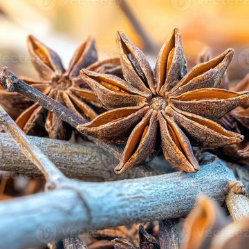 Aromatic Spice Star Anise Seeds – Herbal Plant