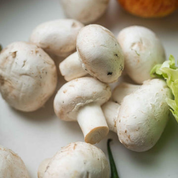 White Mushroom Seeds – Vegetable Plant